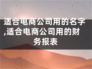适合电商公司用的名字,适合电商公司用的财务报表