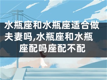 水瓶座和水瓶座适合做夫妻吗,水瓶座和水瓶座配吗座配不配