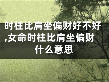 时柱比肩坐偏财好不好,女命时柱比肩坐偏财什么意思