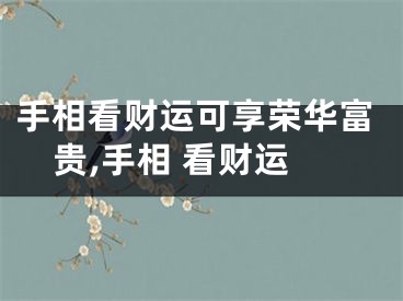 手相看财运可享荣华富贵,手相 看财运