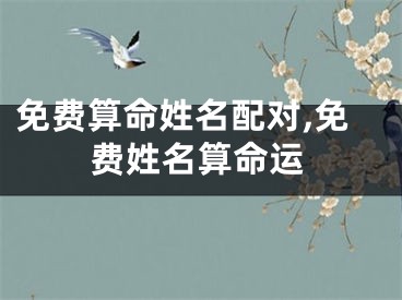 免费算命姓名配对,免费姓名算命运