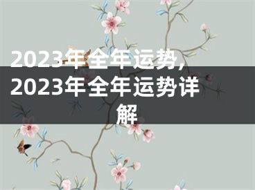 2023年全年运势,2023年全年运势详解