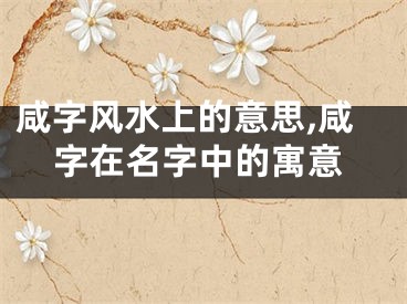 咸字风水上的意思,咸字在名字中的寓意