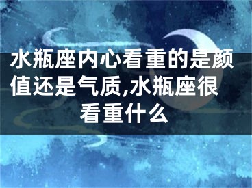 水瓶座内心看重的是颜值还是气质,水瓶座很看重什么