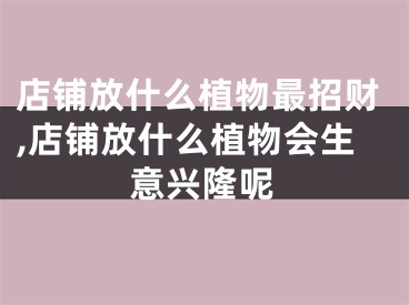 店铺放什么植物最招财,店铺放什么植物会生意兴隆呢