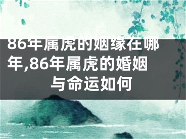 86年属虎的姻缘在哪年,86年属虎的婚姻与命运如何