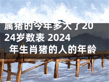 属猪的今年多大了2024岁数表 2024年生肖猪的人的年龄