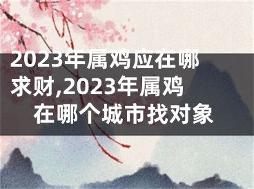 2023年属鸡应在哪求财,2023年属鸡在哪个城市找对象