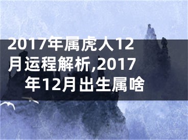 2017年属虎人12月运程解析,2017年12月出生属啥