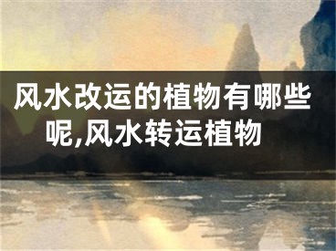 风水改运的植物有哪些呢,风水转运植物