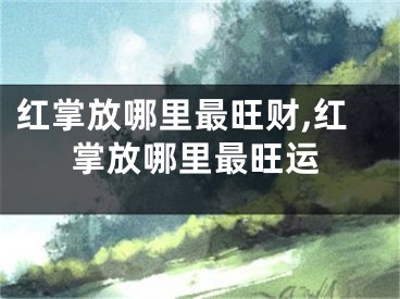红掌放哪里最旺财,红掌放哪里最旺运