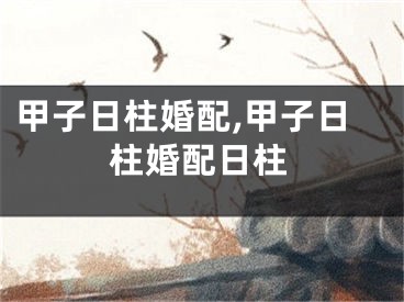 甲子日柱婚配,甲子日柱婚配日柱