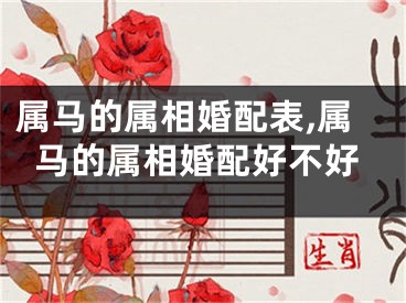 属马的属相婚配表,属马的属相婚配好不好