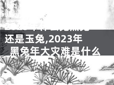 2023年什么兔黑兔还是玉兔,2023年黑兔年大灾难是什么