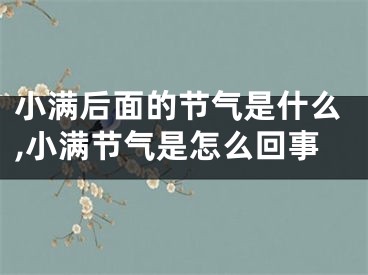 小满后面的节气是什么,小满节气是怎么回事