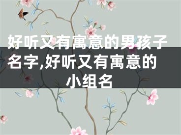 好听又有寓意的男孩子名字,好听又有寓意的小组名