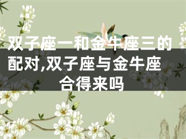 双子座一和金牛座三的配对,双子座与金牛座合得来吗