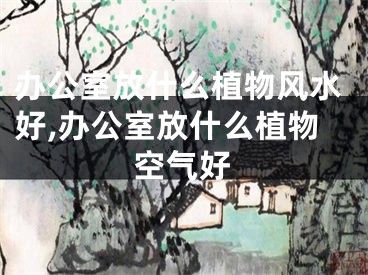 办公室放什么植物风水好,办公室放什么植物空气好