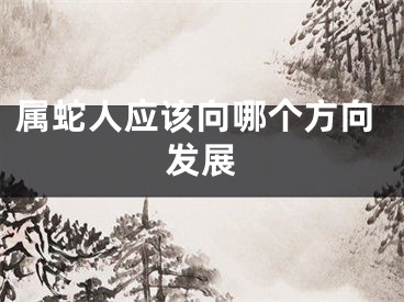 属蛇人应该向哪个方向发展