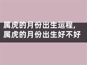 属虎的月份出生运程,属虎的月份出生好不好