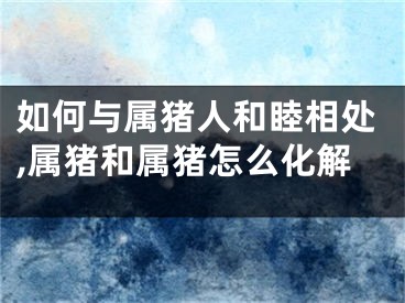 如何与属猪人和睦相处,属猪和属猪怎么化解