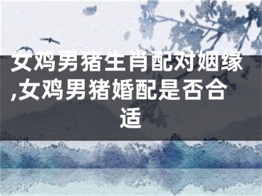 女鸡男猪生肖配对姻缘,女鸡男猪婚配是否合适