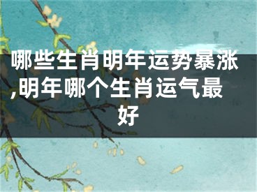 哪些生肖明年运势暴涨,明年哪个生肖运气最好