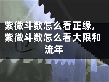 紫微斗数怎么看正缘,紫微斗数怎么看大限和流年