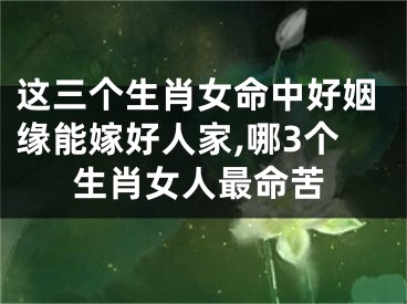 这三个生肖女命中好姻缘能嫁好人家,哪3个生肖女人最命苦
