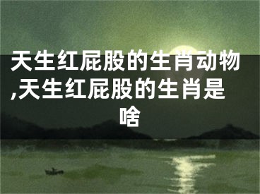 天生红屁股的生肖动物,天生红屁股的生肖是啥