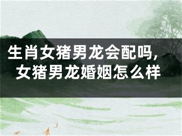 生肖女猪男龙会配吗,女猪男龙婚姻怎么样