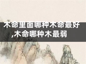 木命里面哪种木命最好,木命哪种木最弱