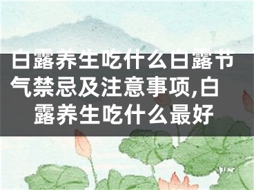 白露养生吃什么白露节气禁忌及注意事项,白露养生吃什么最好