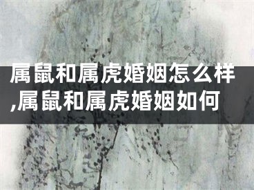 属鼠和属虎婚姻怎么样,属鼠和属虎婚姻如何