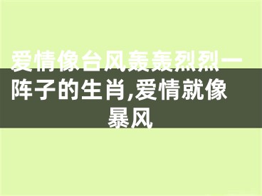 爱情像台风轰轰烈烈一阵子的生肖,爱情就像暴风