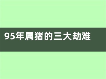 95年属猪的三大劫难