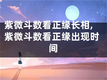 紫微斗数看正缘长相,紫微斗数看正缘出现时间