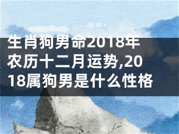 生肖狗男命2018年农历十二月运势,2018属狗男是什么性格