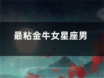 最粘金牛女星座男