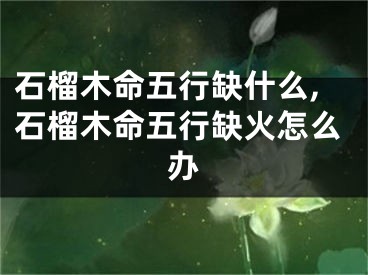 石榴木命五行缺什么,石榴木命五行缺火怎么办