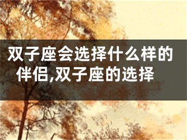 双子座会选择什么样的伴侣,双子座的选择