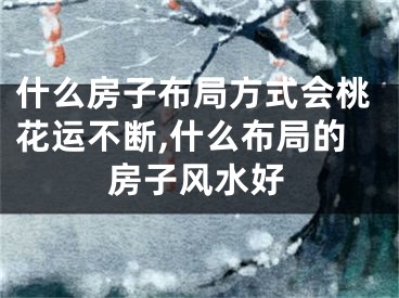 什么房子布局方式会桃花运不断,什么布局的房子风水好