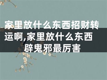 家里放什么东西招财转运啊,家里放什么东西辟鬼邪最厉害