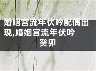 婚姻宫流年伏吟配偶出现,婚姻宫流年伏吟 癸卯