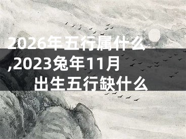 2026年五行属什么,2023兔年11月出生五行缺什么