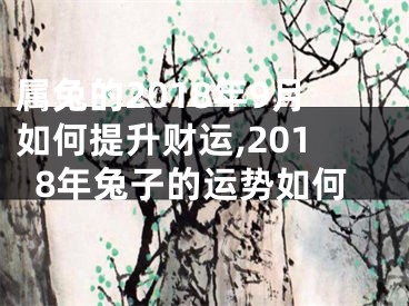 属兔的2018年9月如何提升财运,2018年兔子的运势如何