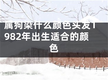 属狗染什么颜色头发1982年出生适合的颜色