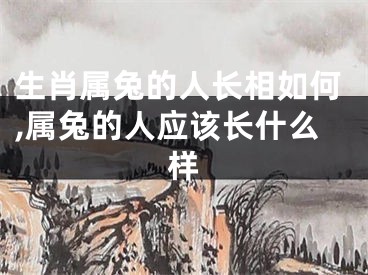 生肖属兔的人长相如何,属兔的人应该长什么样