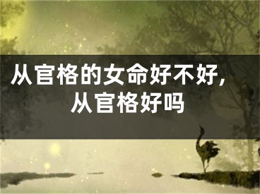 从官格的女命好不好,从官格好吗