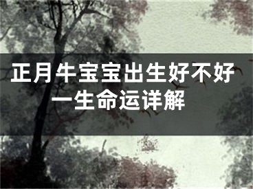 正月牛宝宝出生好不好 一生命运详解